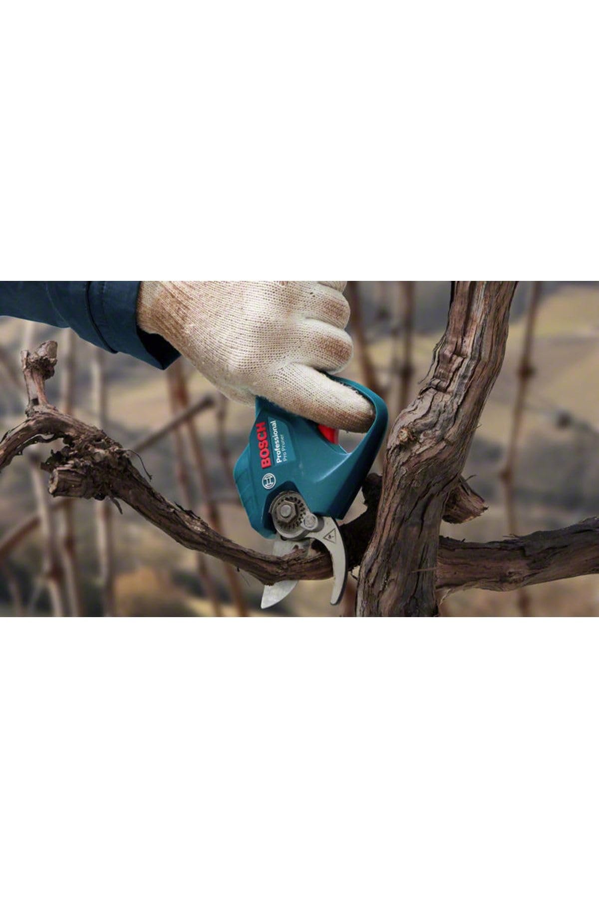 bosch-professional-system-12v-akku-astschere-pruner-b-rstenlos-bis-25-mm-schnitt image 4
