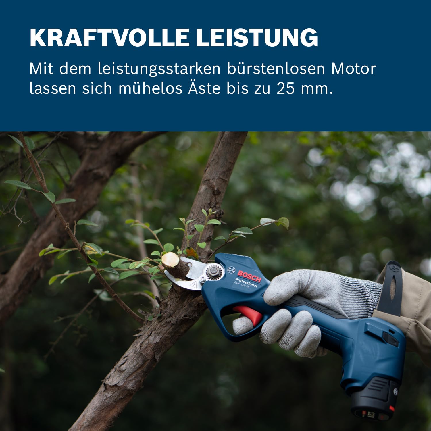 bosch-professional-pro-pruner-ggp-12v-25-akku-astschere-b-rstenloser-motor-25-mm image 4
