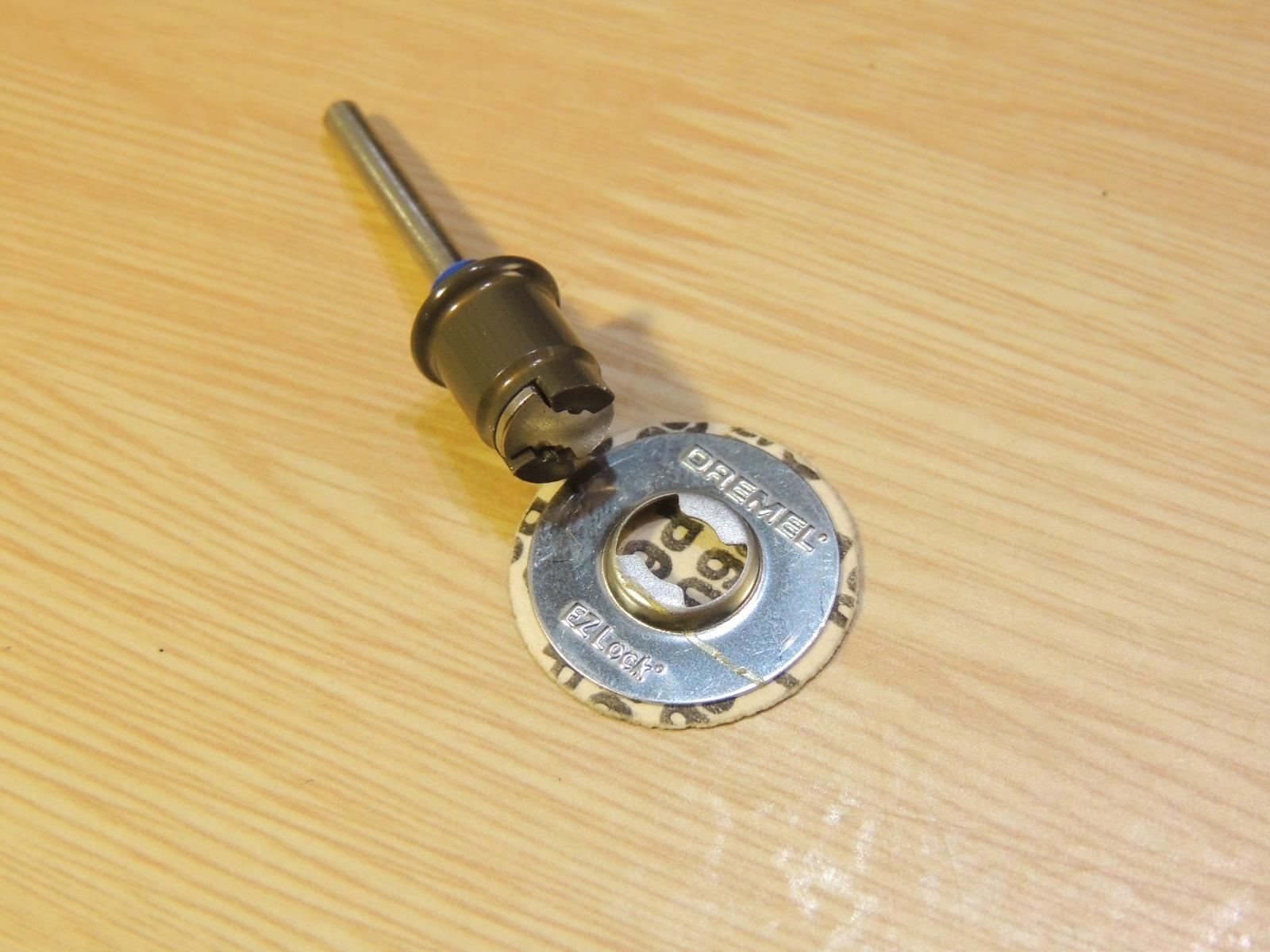 Mein Hund lässt es endlich zu!