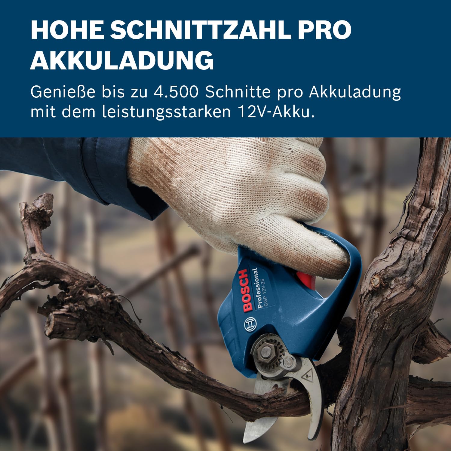 bosch-professional-pro-pruner-ggp-12v-25-akku-astschere-b-rstenloser-motor-25-mm image 5