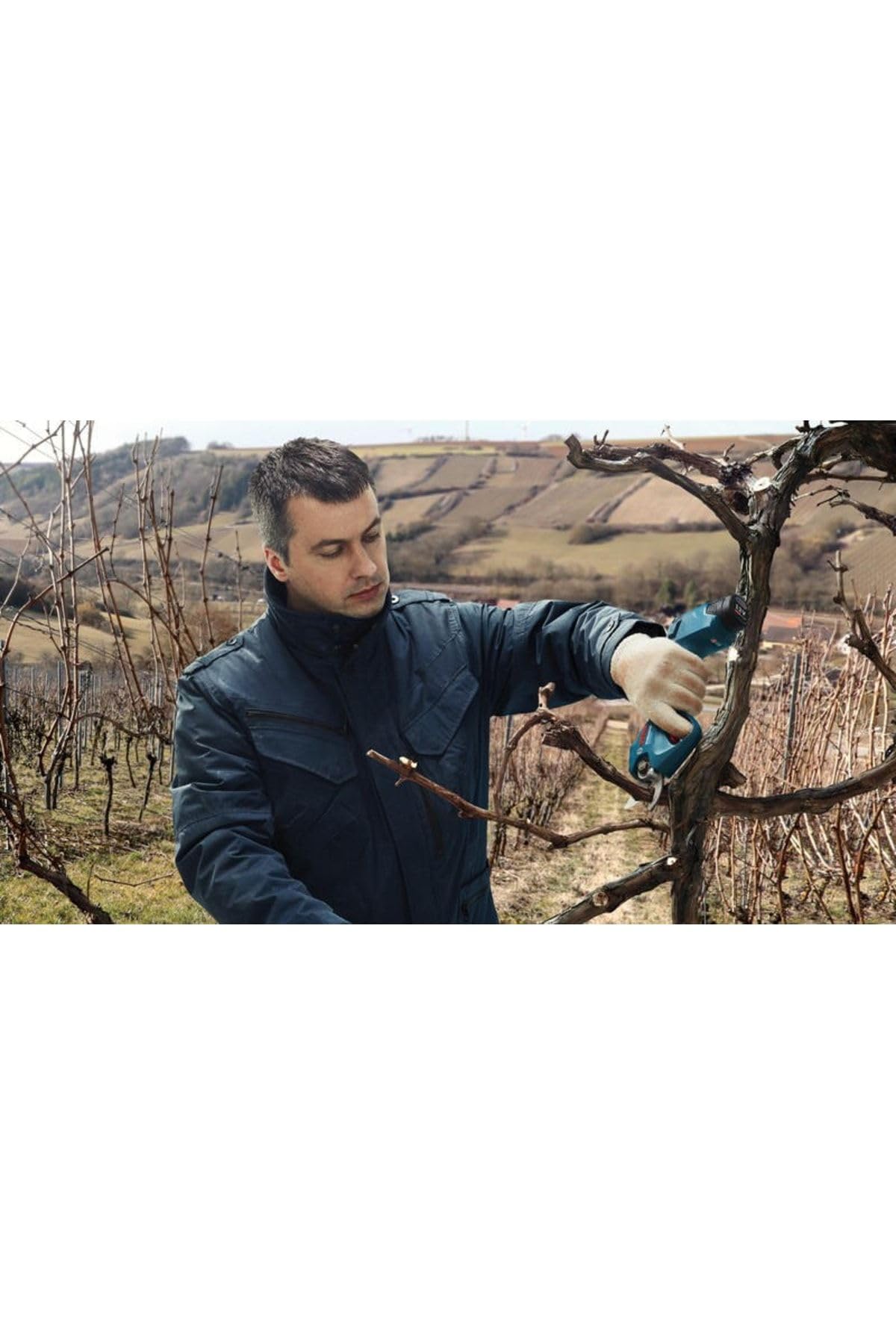 bosch-professional-system-12v-akku-astschere-pruner-b-rstenlos-bis-25-mm-schnitt image 8