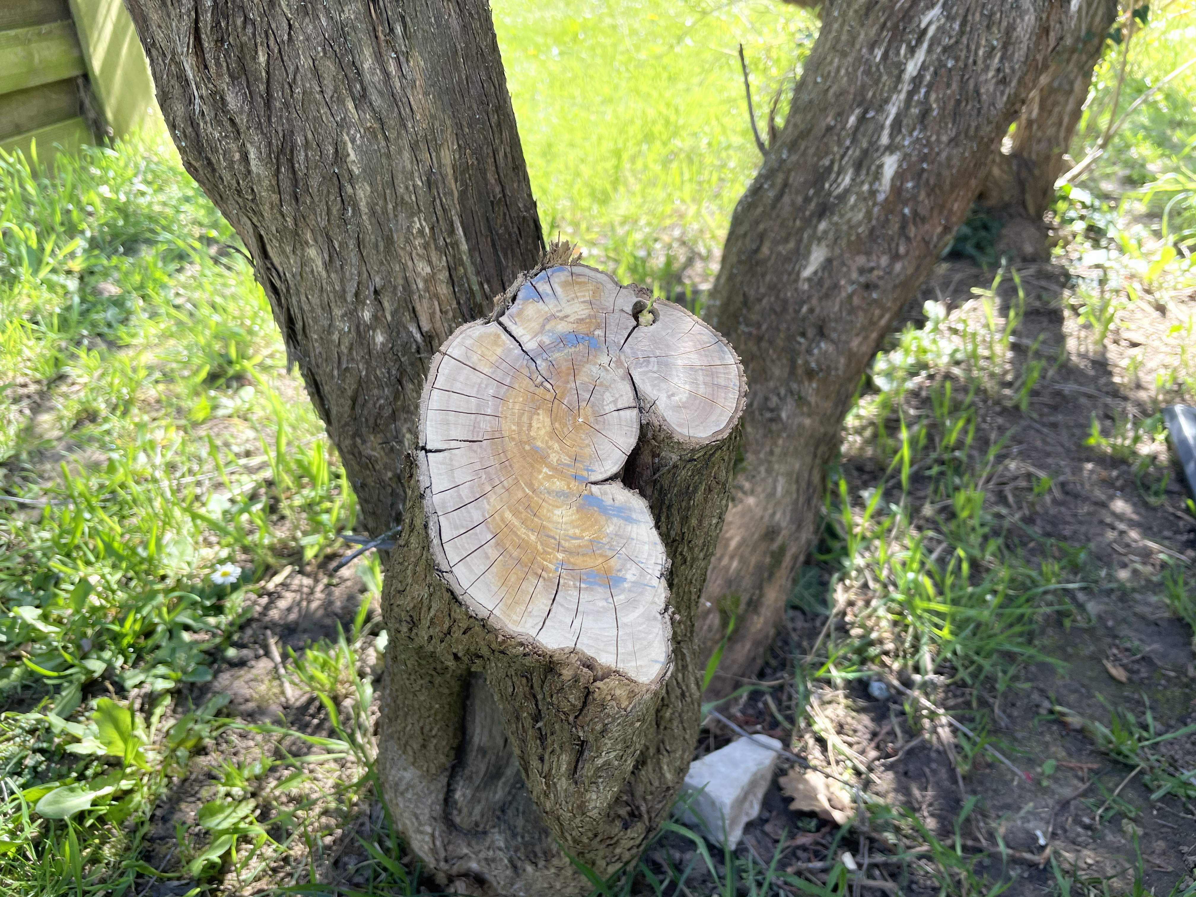 Bewährt